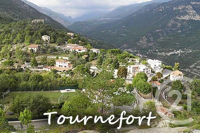 terrain à vendre - 12580.0 m2 - TOURNEFORT - 06 - PROVENCE-ALPES-COTE-D-AZUR - Century 21 Etoile Immobilier