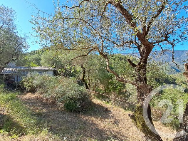 maison à vendre - 6 pièces - 119.0 m2 - TOURNEFORT - 06 - PROVENCE-ALPES-COTE-D-AZUR - Century 21 Etoile Immobilier