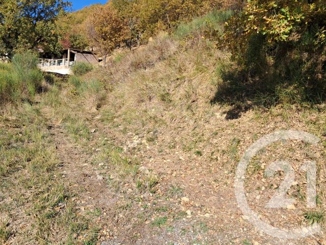 terrain à vendre - 3000.0 m2 - BONSON - 06 - PROVENCE-ALPES-COTE-D-AZUR - Century 21 Etoile Immobilier