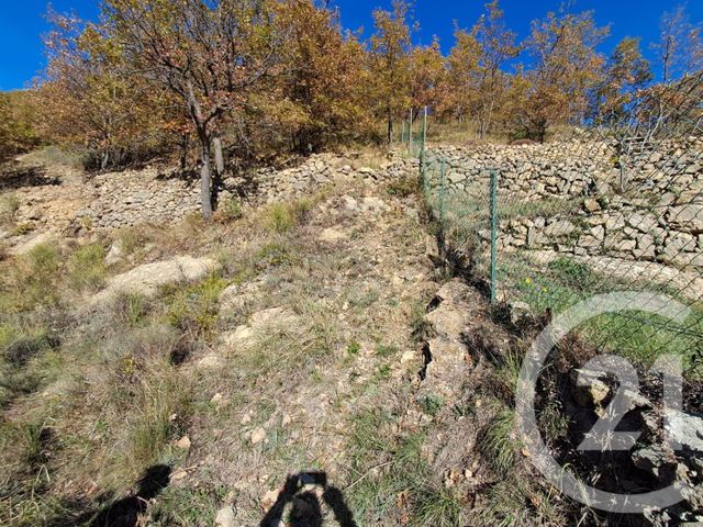terrain à vendre - 3000.0 m2 - BONSON - 06 - PROVENCE-ALPES-COTE-D-AZUR - Century 21 Etoile Immobilier