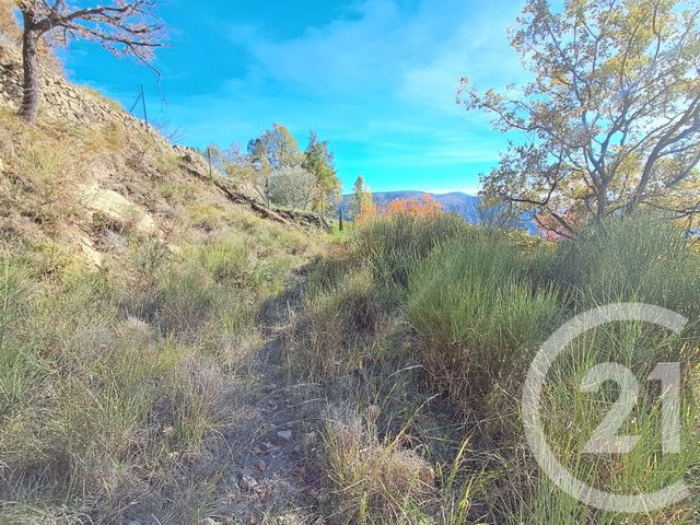 terrain à vendre - 3000.0 m2 - BONSON - 06 - PROVENCE-ALPES-COTE-D-AZUR - Century 21 Etoile Immobilier