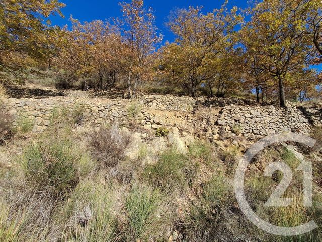 terrain à vendre - 3000.0 m2 - BONSON - 06 - PROVENCE-ALPES-COTE-D-AZUR - Century 21 Etoile Immobilier