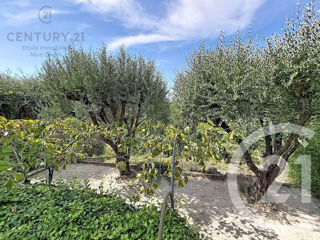 maison à vendre - 6 pièces - 280.0 m2 - LA GAUDE - 06 - PROVENCE-ALPES-COTE-D-AZUR - Century 21 Etoile Immobilier