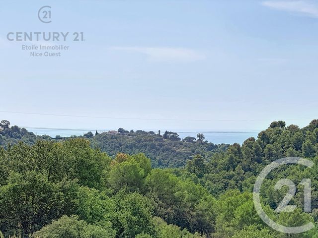 maison à vendre - 6 pièces - 280.0 m2 - LA GAUDE - 06 - PROVENCE-ALPES-COTE-D-AZUR - Century 21 Etoile Immobilier