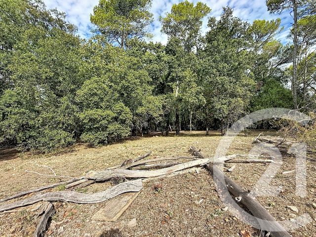 maison à vendre - 6 pièces - 104.77 m2 - LE THORONET - 83 - PROVENCE-ALPES-COTE-D-AZUR - Century 21 Etoile Immobilier